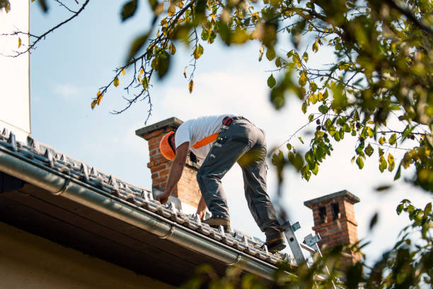 Best Roof Maintenance Services  in Fort Washakie, WY